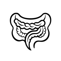 hand-drawn sketch human intestine illustration