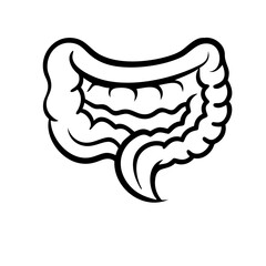 hand-drawn sketch human intestine illustration