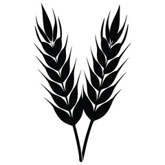 wheat plant silhouette with ripe wheat on white background