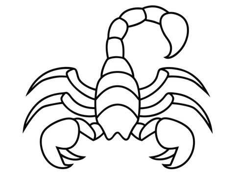 recommend clip art: scorpion line art silhouette illustration, Scorpion line vector illustration, a detailed line art drawing of a scorpion illustration