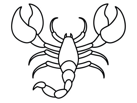 recommend clip art: scorpion line art silhouette illustration, Scorpion line vector illustration, a detailed line art drawing of a scorpion illustration