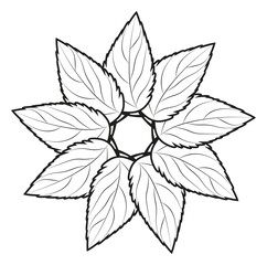 Symmetrical Outline of Leaf Circle Design, Natural Decorative Element.