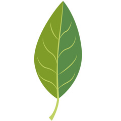 A flat design green leaf illustration with clean lines, perfect for eco-friendly, botanical, or nature-themed projects, icons, or digital artwork.