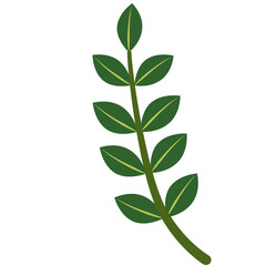 A minimalist green plant illustration featuring six symmetrical leaves on a central stem. Ideal for botanical, environmental, or eco-themed design projects and digital graphics.