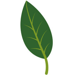 A flat design green leaf illustration with clean lines, perfect for eco-friendly, botanical, or nature-themed projects, icons, or digital artwork.
