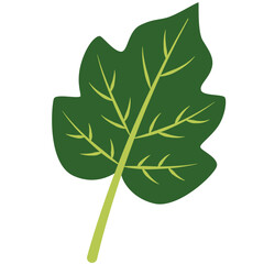 A flat design green leaf illustration with clean lines, perfect for eco-friendly, botanical, or nature-themed projects, icons, or digital artwork.