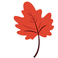 A flat vector illustration of an oak-shaped autumn leaf in warm orange and red tones, ideal for seasonal, botanical, or nature-themed design projects.