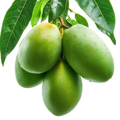 Fresh Green Mangoes with Glossy Leaves Isolated on Transparent Background,green mango with leaf,Mangoes with Lush Leaves, tropical fruit, healthy food,green leaf,Cluster of Fresh Green Mangoes,Ai