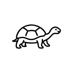 Simple Turtle Illustration Black Outline Drawing Sea Turtle Vector Icon