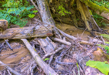 a small stream and its rocky bottom, slow flowing water