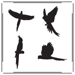 Parrot silhouette, Parrot illustration , Parrot clipart, Parrot vector , Parrot icon , black Parrot, Parrot illustration on white background, Parrot vector illustration ,