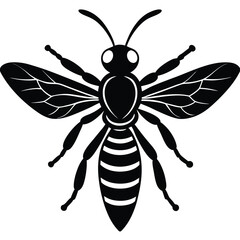Fototapeta premium wasp vector