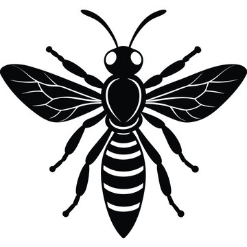 black bee insect isolated clip art preview