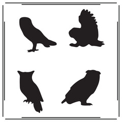 Owl silhouette, Owl illustration , Owl clipart, Owl vector , Owl icon , black Owl, Owl illustration on white background, Owl vector illustration ,