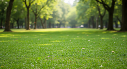 Green lawn in park with trees creating shaded area in background. Natural recreation space for urban planning presentations, environmental conservation campaigns and outdoor activities promotion