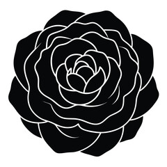 Vintage floral rose art, white blossom on black