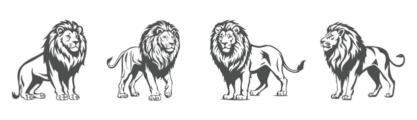 lion silhouette set, black and white design illustration