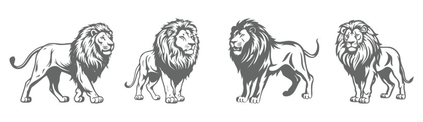 lion silhouette set, black and white design illustration