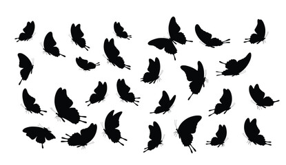 Fototapeta premium Silhouette Symphony: A captivating ensemble of fluttering butterflies in an elegant monochrome presentation, creating a dance of shadows and light.