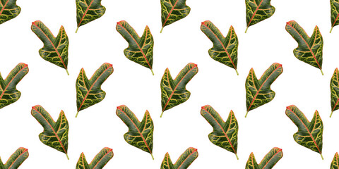 Seamless pattern of colorful croton leaves creating a vibrant, natural backdrop © MaskaRad