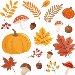 Autumn Harvest Collection of Fall Leaves, Pumpkins, Mushrooms & Acorns