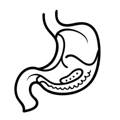 hand-drawn sketch human stomach illustration