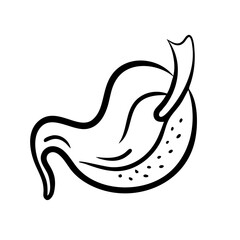 Obraz premium hand-drawn sketch human stomach illustration