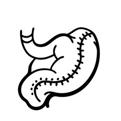 hand-drawn sketch human stomach illustration