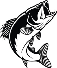 fish on a white background