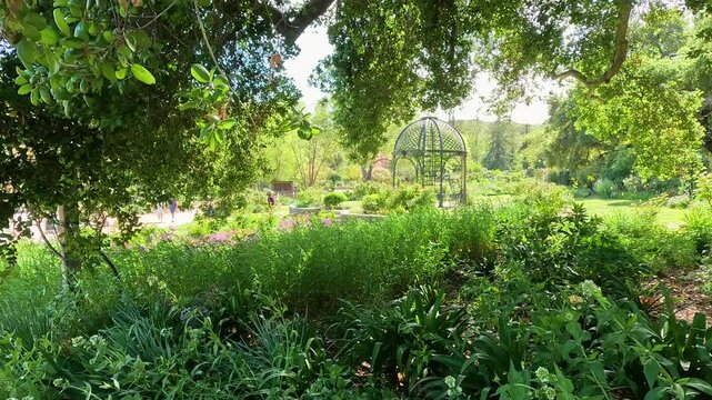 footage of a gorgeous spring landscape with a gazebo, colorful flowers and lush green trees and plants at Descanso Gardens La Canada Flintridge California USA