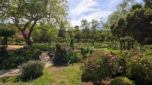 footage of a gorgeous spring landscape with colorful flowers and lush green trees and plants at Descanso Gardens La Canada Flintridge California USA