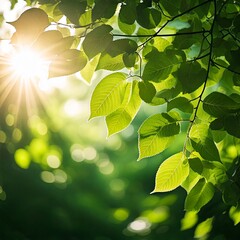 青空に透ける新緑の葉と太陽光が美しいリアル写真風アート