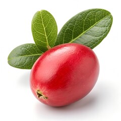 Miracle fruit, whole and close-up, bright red color, smooth skin with slight sheen, detailed texture, photorealistic quality, high-resolution studio photography