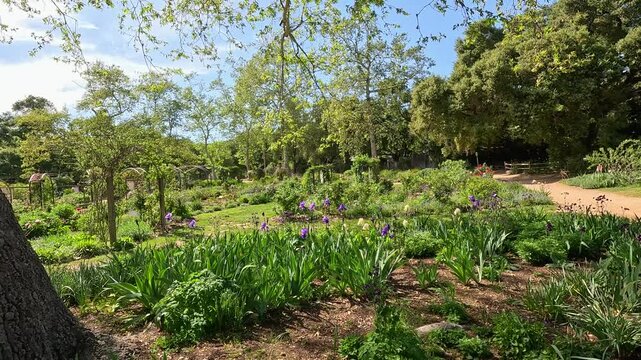 footage of a gorgeous spring landscape with colorful flowers and lush green trees and plants at Descanso Gardens La Canada Flintridge California USA