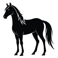 Obraz premium Horse Silhouette
