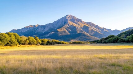 Fototapeta premium Golden meadow stretches beneath a majestic mountain peak