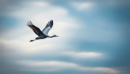 Crane in Flight: A majestic crane gracefully soars through the sky, its wings spread wide against a backdrop of fluffy clouds, capturing the essence of freedom and boundless possibilities. 