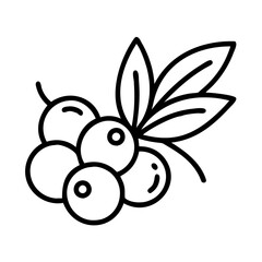 acai berry line drawn vector art - illustration acai berry isolated transparent background