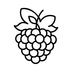 arctic raspberry line drawn vector art - illustration arctic raspberry isolated transparent background