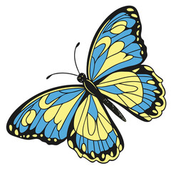 monarch butterflies set vector