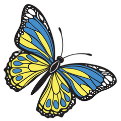 monarch butterflies set vector