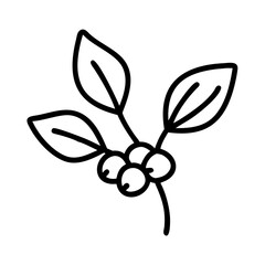 serviceberry line drawn vector art - illustration serviceberry isolated transparent background