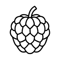 sugar apple line drawn vector art - illustration sugar apple isolated transparent background