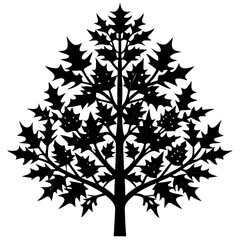 A mistletoe fir tree silhouette vector illustration.