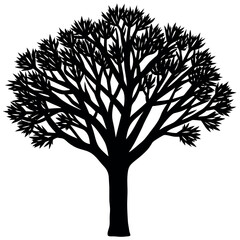 Naklejka premium A palo Verde tree silhouette vector illustration 