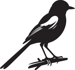 black silhouette flock of birds backlit Isolate on transparent background eps file