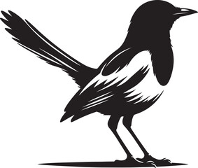 magpie silhouette vector art illustration