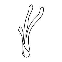 Lettuce Vegetable Coloring Page Outline