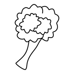 Broccoli Vegetable Coloring Page Outline