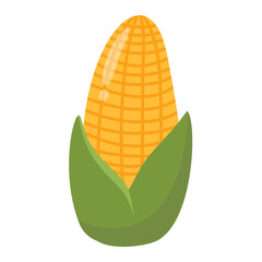 Fresh Corn Fruit Illustration